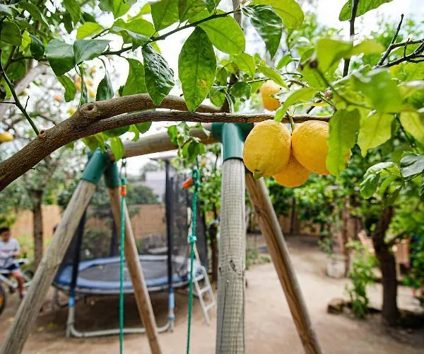 شقة My سورينتو