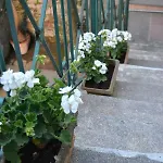 My דירה סורנטו