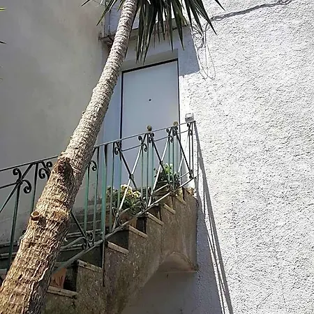 My Apartament