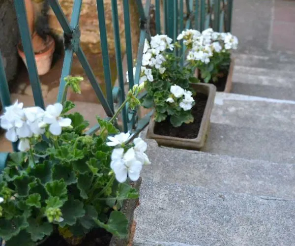 My Apartament Półwysep Sorrentyński