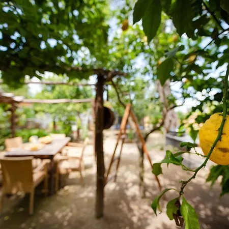 Appartement My Sorrente